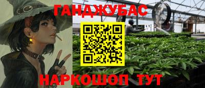 стаф Кунгур