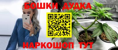 стаф Кунгур